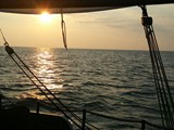 IMG_2088-large